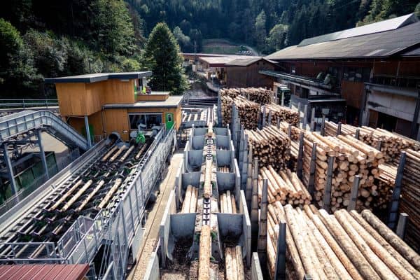 Rundholzplatz der Finkbeiner Holzindustrie in Triberg